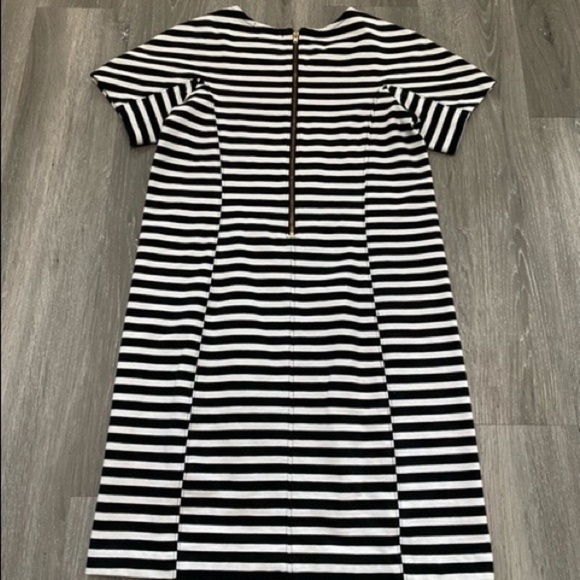 OG Jcrew Dress - J. Crew Black and White Stripe Short Sleeve shift dress - Picture 4 of 7